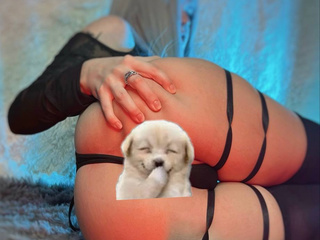 will you be my doggie?