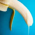 Alex-Banana