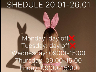 schedule
