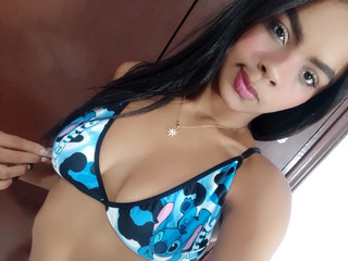 stich