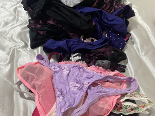 panties