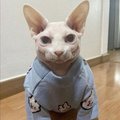 Lovepusssyy1