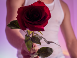 roses3