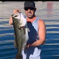 Sdbassman