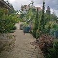 Grishanya90