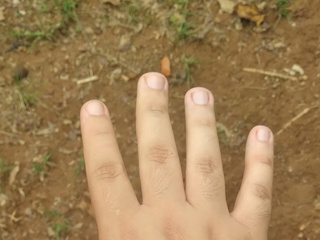 Minhas mãos