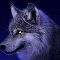 Old_Wolfy