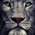 Gentleman_X