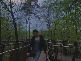 Walking through the forest