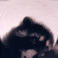 nekatin