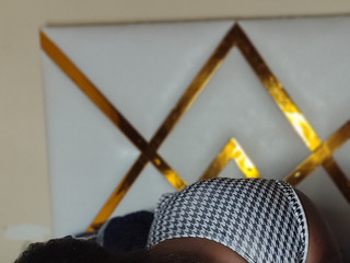 Dassa