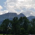 Michal0306