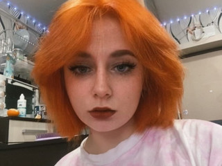 🦊✨🦊✨🦊