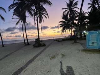 Beach🌅🏖️