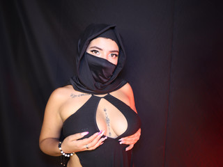 الألبوم11