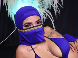 الألبوم20