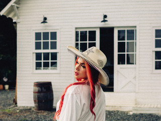 Glam horse 1