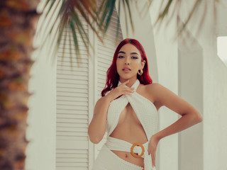 Elegant 3