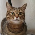 Dmitriy0719999