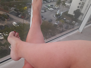 Legs