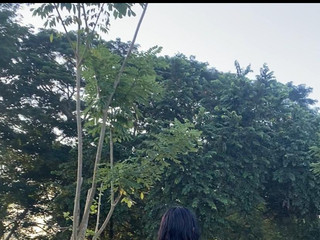 my land❤️