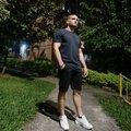 sebaszoo