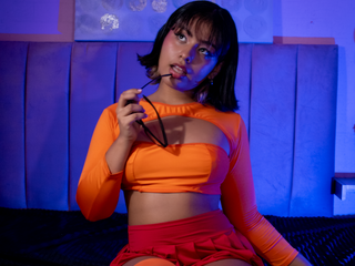 Sowy 🧡