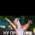 Kaifi
