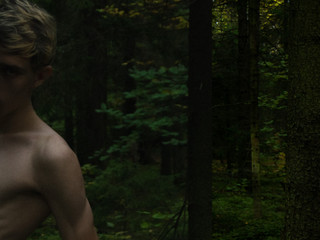 forest forest