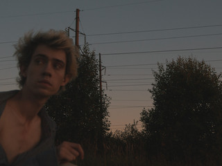 at sunset in the field