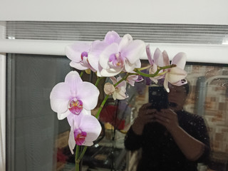 My Photos