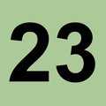 lazy23lazy