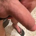 Palka19
