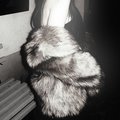 MissAmelia