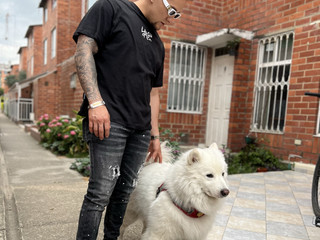 pet