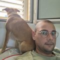 ya26