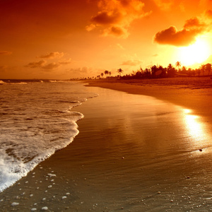 A trip to the beach