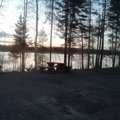 _kotBegemot_
