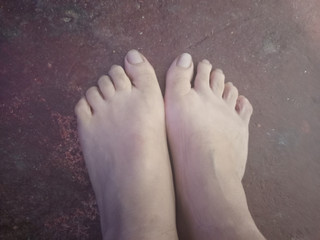 Pies
