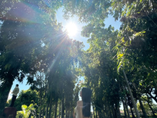 Nature