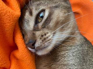My pussy