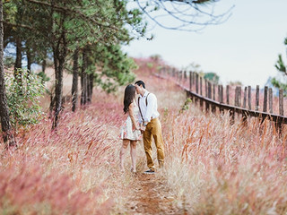 My Photos