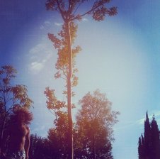 Balearicsex11