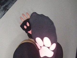 Paws