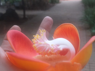 Couple cery happy