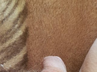 My Photos