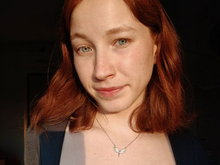The rays of the sun