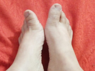 feet
