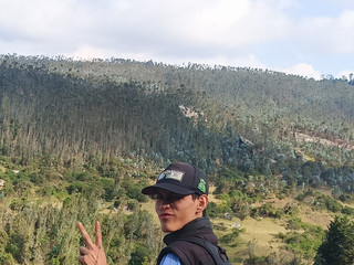 My Photos