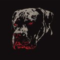 MaddogXXX3